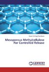 Mesoporous Methylcellulose For Controlled Release