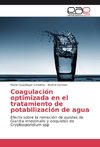 Coagulación optimizada en el tratamiento de potabilización de agua