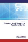 Push-Out Bond Strength to Root Canal Dentin