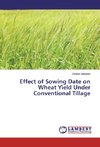 Effect of Sowing Date on Wheat Yield Under Conventional Tillage