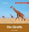 Die Giraffe