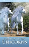 Journey of the Two Unicorns