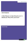 A Brief Report on Data Breaches in U.S. Healthcare. What, Why, and How?