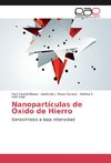 Nanopartículas de Óxido de Hierro