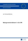 Managementstrukturen in der SPE