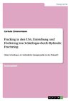 Fracking in den USA. Entstehung und Förderung von Schiefergas durch Hydraulic Fracturing