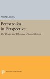 Perestroika in Perspective