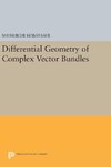 Differential Geometry of Complex Vector Bundles