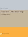 Mousterian Lithic Technology