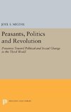 Peasants, Politics and Revolution