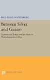 Between Silver and Guano