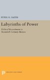 Labyrinths of Power