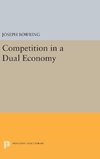 Competition in a Dual Economy