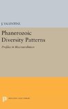 Phanerozoic Diversity Patterns