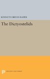 The Dictyostelids