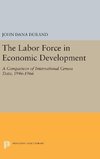 The Labor Force in Economic Development