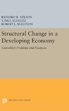 Structural Change in a Developing Economy