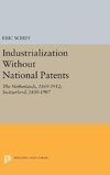 Industrialization Without National Patents