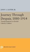 Journey Through Despair, 1880-1914