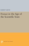 France in the Age of the Scientific State