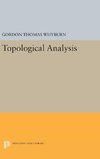 Topological Analysis