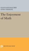 Enjoyment of Mathematics