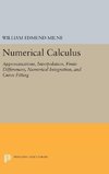 Numerical Calculus