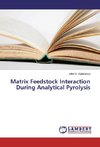 Matrix Feedstock Interaction During Analytical Pyrolysis