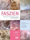 Faszien