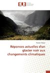 Réponses actuelles d'un glacier noir aux changements climatiques