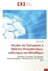 Etudes de Composés à Matrice Phosphorique, sulfurique ou Métallique