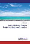 Study of Heavy Flavour Baryons using quark models