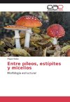 Entre píleos, estípites y micelios