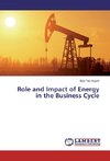 Role and Impact of Energy in the Business Cycle