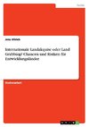 Internationale Landakquise oder Land Grabbing? Chancen und Risiken für Entwicklungsländer