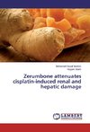 Zerumbone attenuates cisplatin-induced renal and hepatic damage