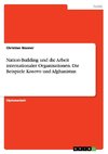 Nation-Building und die Arbeit internationaler Organisationen. Die Beispiele Kosovo und Afghanistan