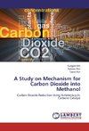 A Study on Mechanism for Carbon Dioxide into Methanol