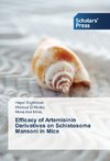 Efficacy of Artemisinin Derivatives on Schistosoma Mansoni in Mice