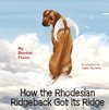 How The Rhodesian Ridgeback Got Its Ridge