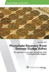 Phosphate Recovery from Sewage Sludge Ashes