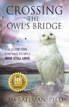 Crossing the Owl's Bridge