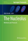 The Nucleolus