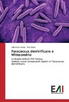 Paracoccus denitrificans e Mitocondrio