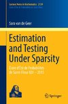 Estimation and Testing Under Sparsity