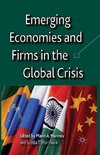 Emerging Economies and Firms in the Global Crisis