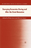 Emerging Economies During and After the Great Recession