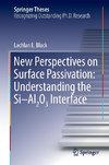 New Perspectives on Surface Passivation: Understanding the Si-Al2O3 Interface