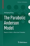 The Parabolic Anderson Model