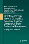 Identifying emerging issues in disaster risk reduction, migration, climate change and sustainable development